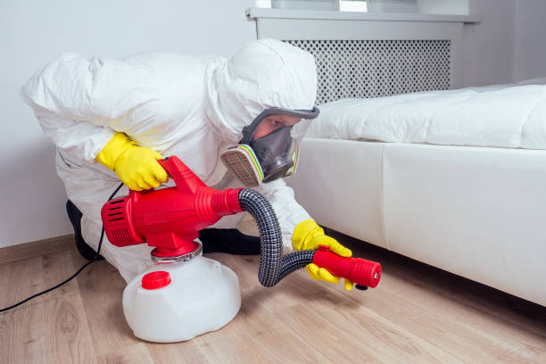 Best Wasp Removal Services  in Fris, CO