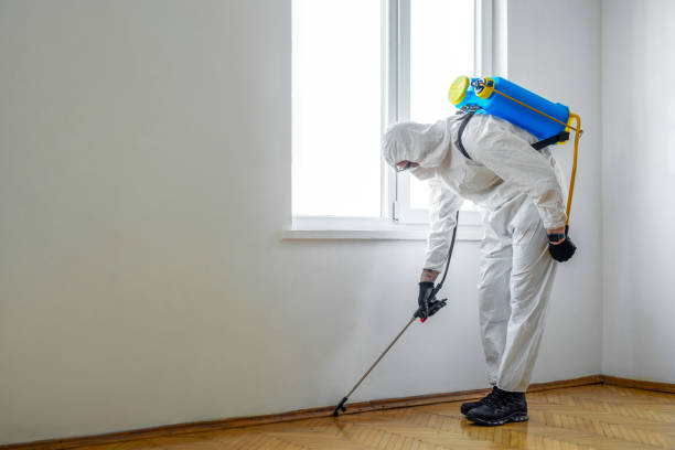 Best Pest Control for Restaurants  in Fris, CO