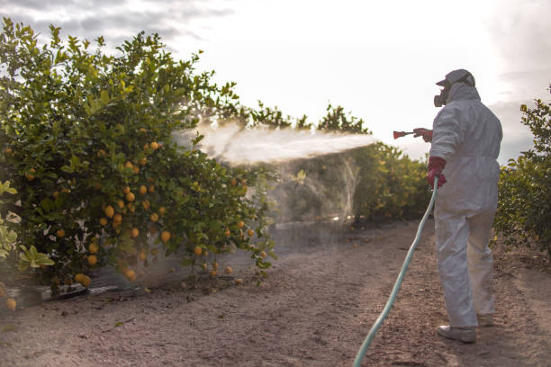 Best Residential Pest Control  in Fris, CO