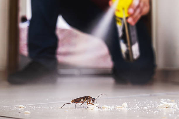 Best Residential Pest Control  in Fris, CO