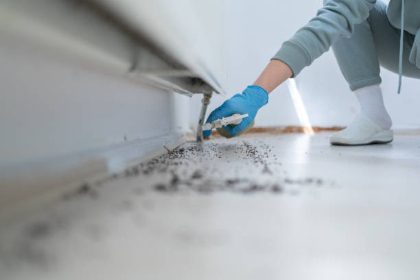 Best Best Pest Control Companies  in Fris, CO